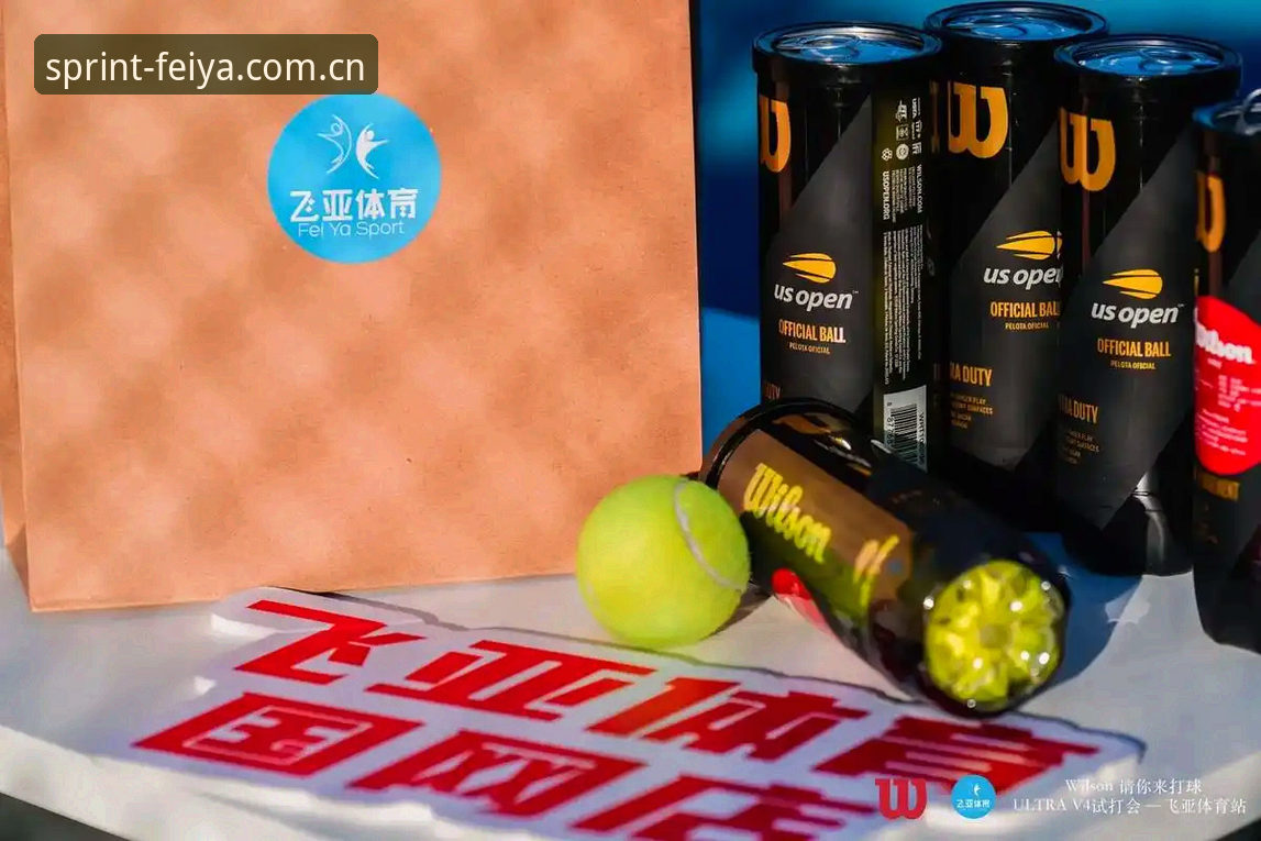 飞亚体育平台最新动态深度分析：从用户视角看版本升级与体验优化